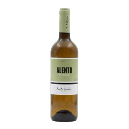 Alento White 2024