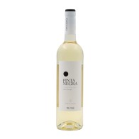 Pinta Negra White 2024