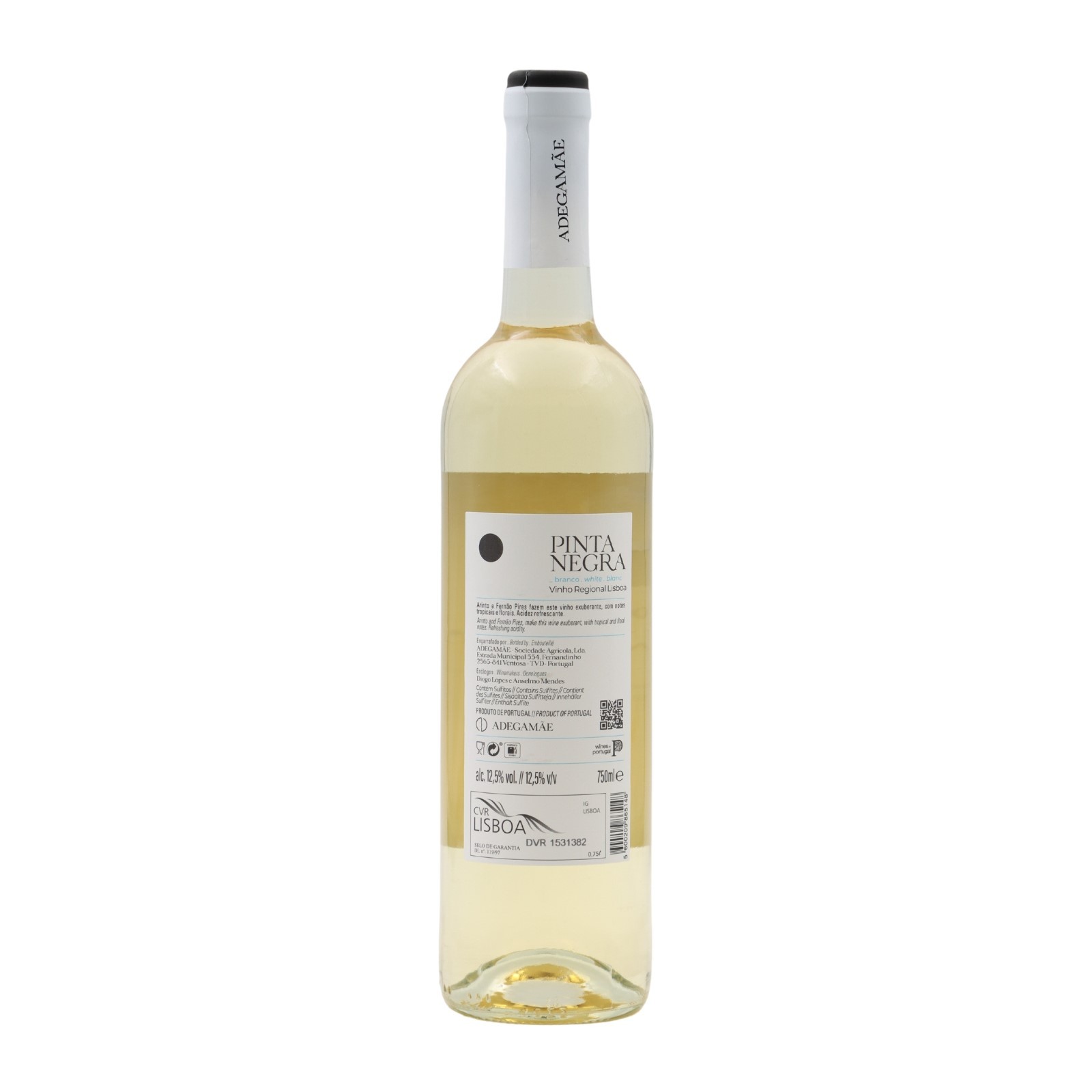 Pinta Negra White 2024