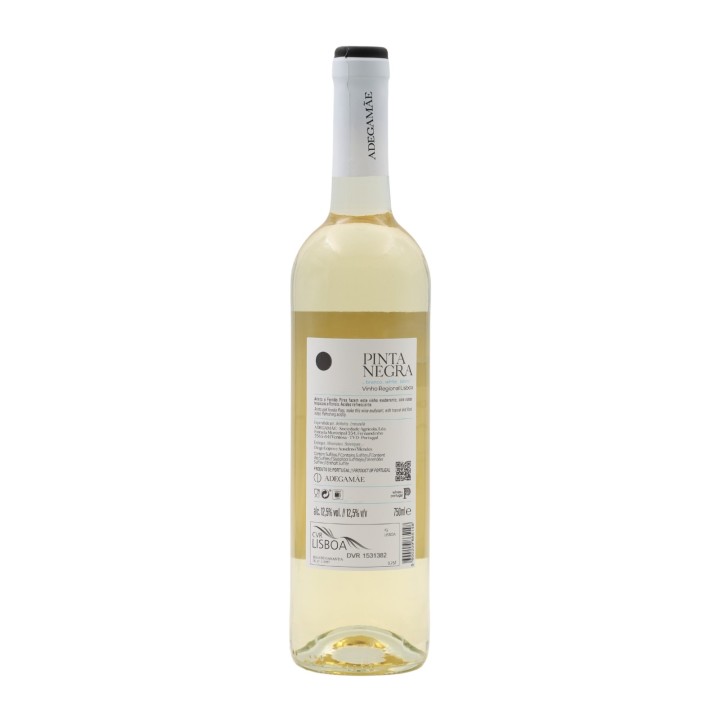 Pinta Negra White 2024