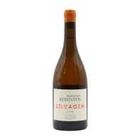 Pequenos Rebentos Superior Selvagem White 2020