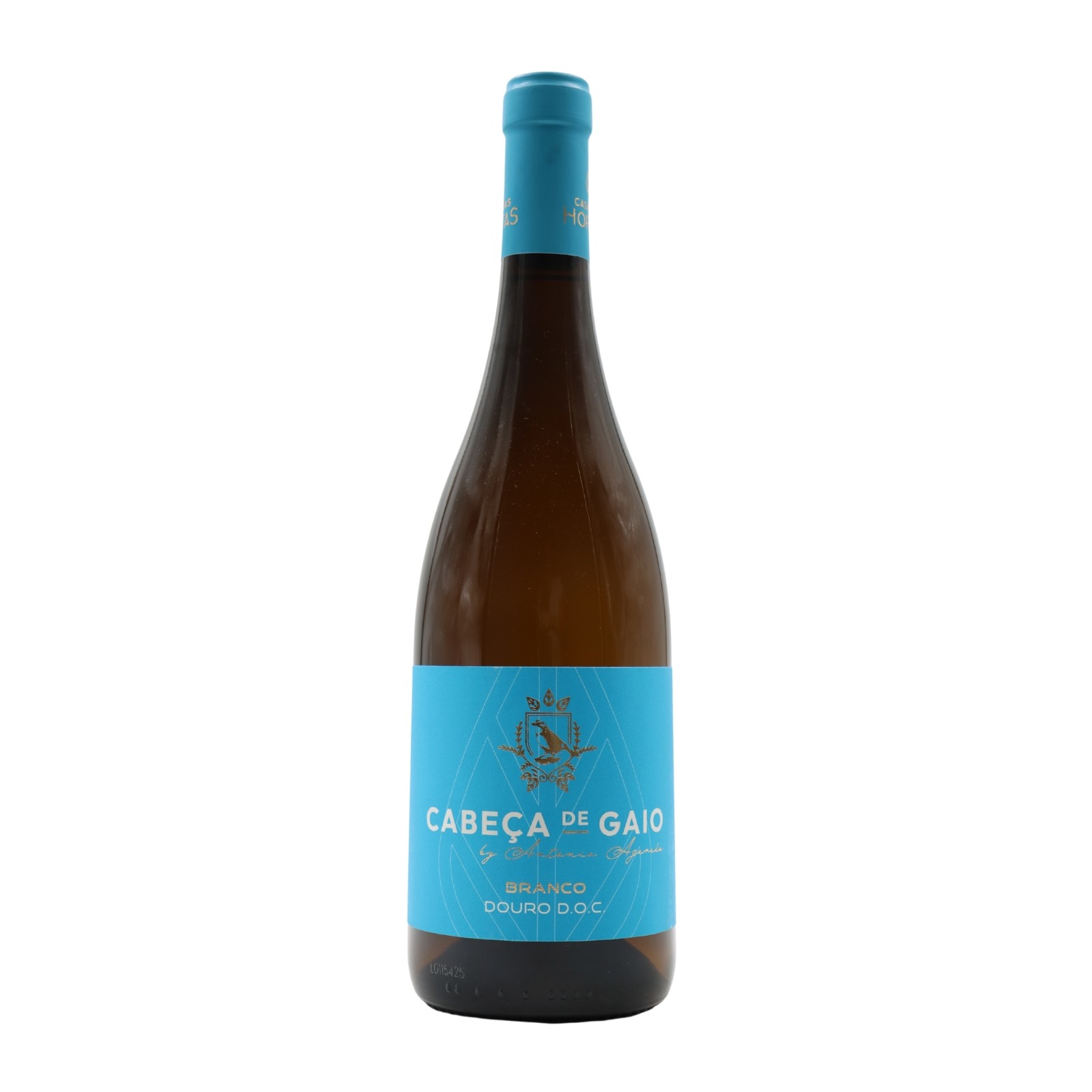 Cabeça de Gaio White 2024
