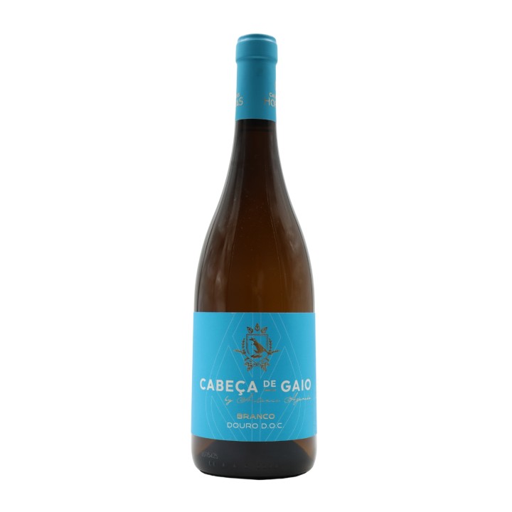 Cabeça de Gaio Bianco 2024