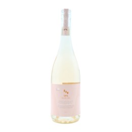 QPA Rosé 2024