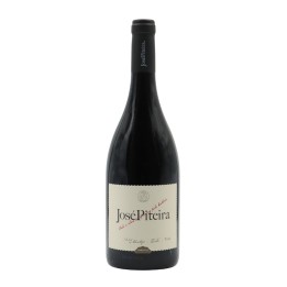 José Piteira Red 2024