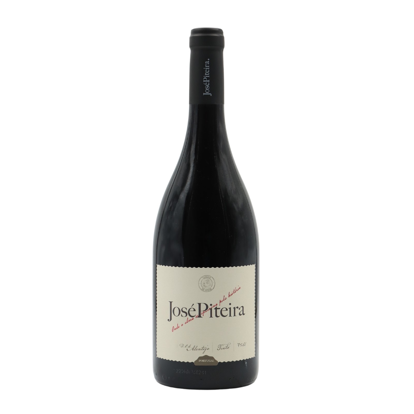 José Piteira Red 2024