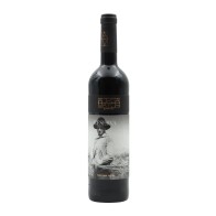 Adega Mayor Reserve Red 2022