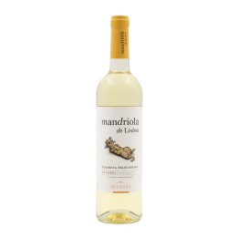 Mandriola de Lisboa Blanc 2022