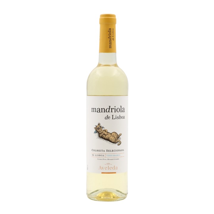 Mandriola de Lisboa Weiß 2022