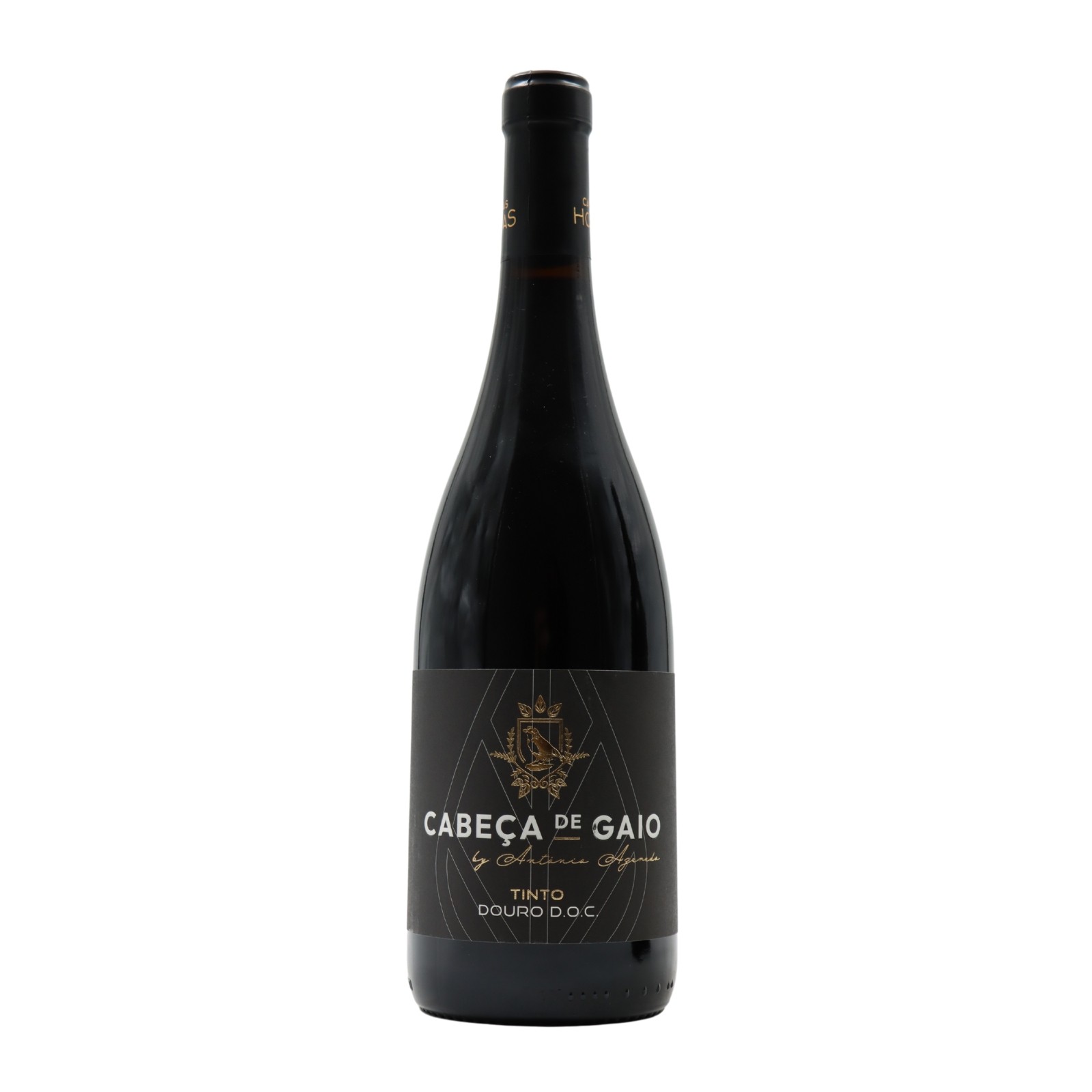 Cabeça de Gaio Tinto 2023