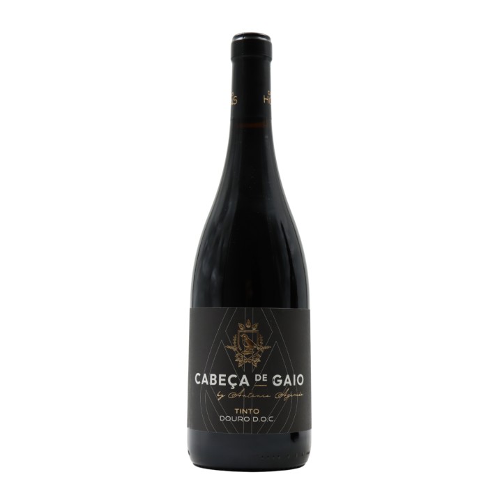 Cabeça de Gaio Red 2023