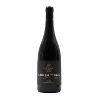 Cabeça de Gaio Tinto 2023