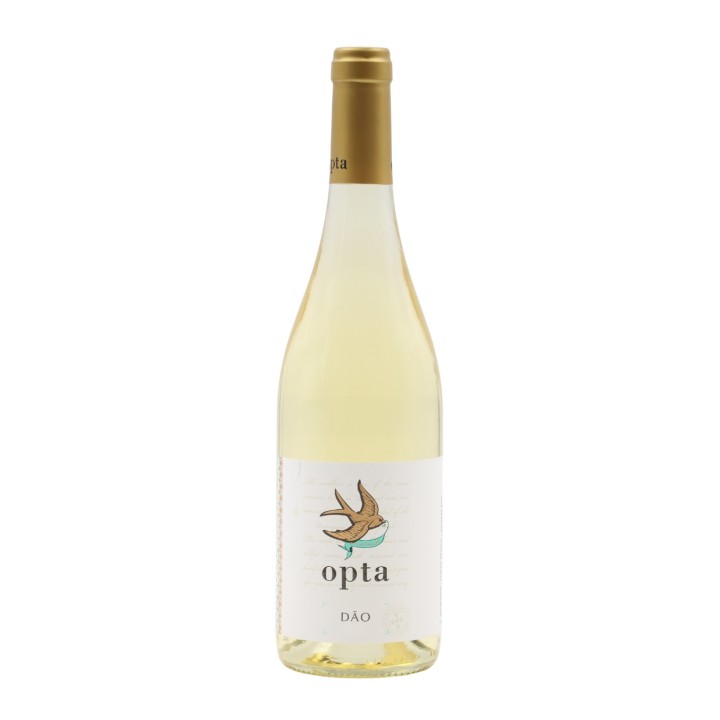 Opta Blanc 2024