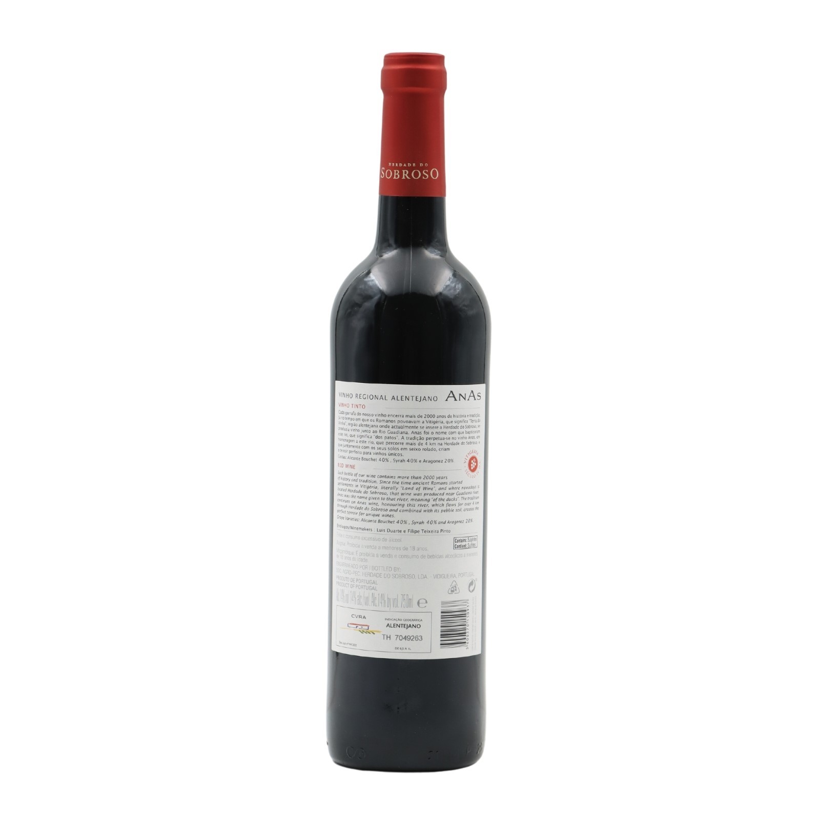 Anas Tinto 2022