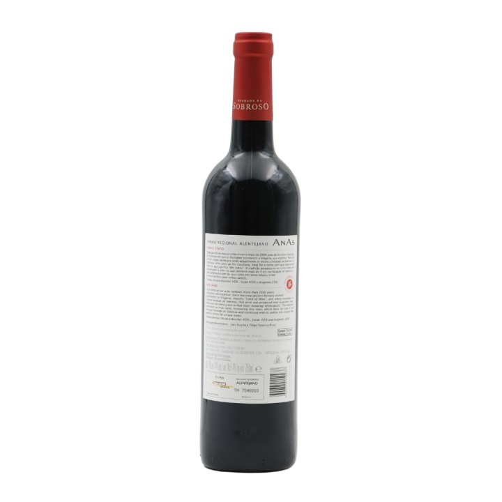 Anas Tinto 2022