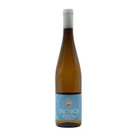 Quinta da Pacheca Sauvignon Blanc Bianco 2024