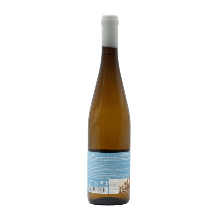 Quinta da Pacheca Sauvignon Blanc White 2024