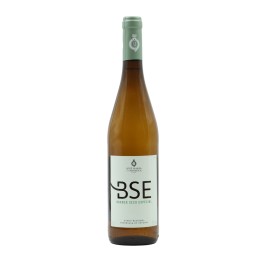 BSE White 2024