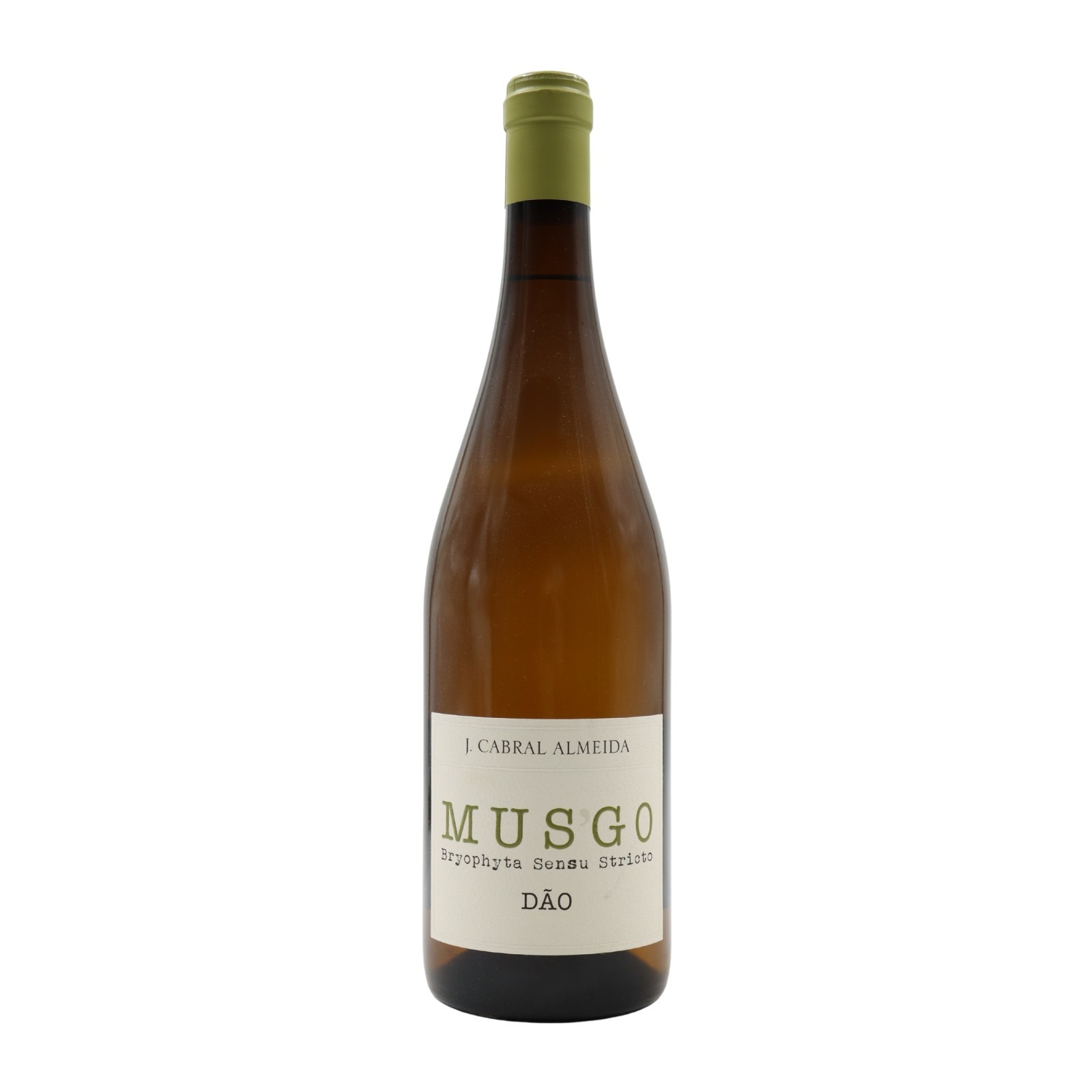 Musgo Branco 2024