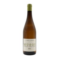 Musgo Branco 2024