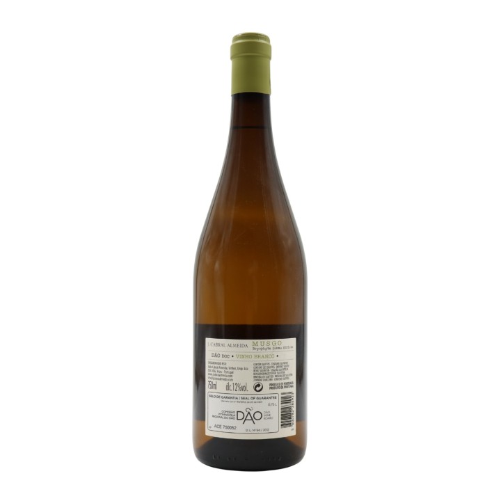 Musgo Branco 2024