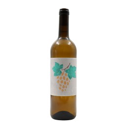 Aradas White 2023