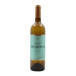 Incantum White 2023