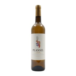 Plansel White 2023