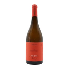 Brejinho da Costa Riesling Weiß 2023