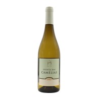 Quinta das Camélias Encruzado Reserve White 2024