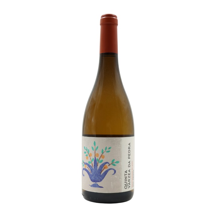 Quinta Várzea da Pedra Sauvignon Blanc Weiß 2023
