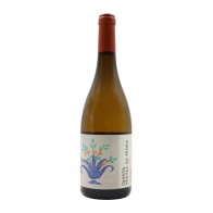 Quinta Várzea da Pedra Sauvignon Blanc Weiß 2023