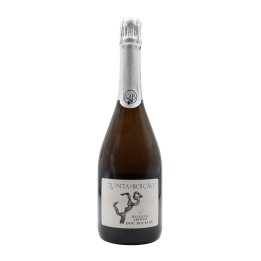 Quinta do Boição Arinto Reserve Brut Sparkling 2019