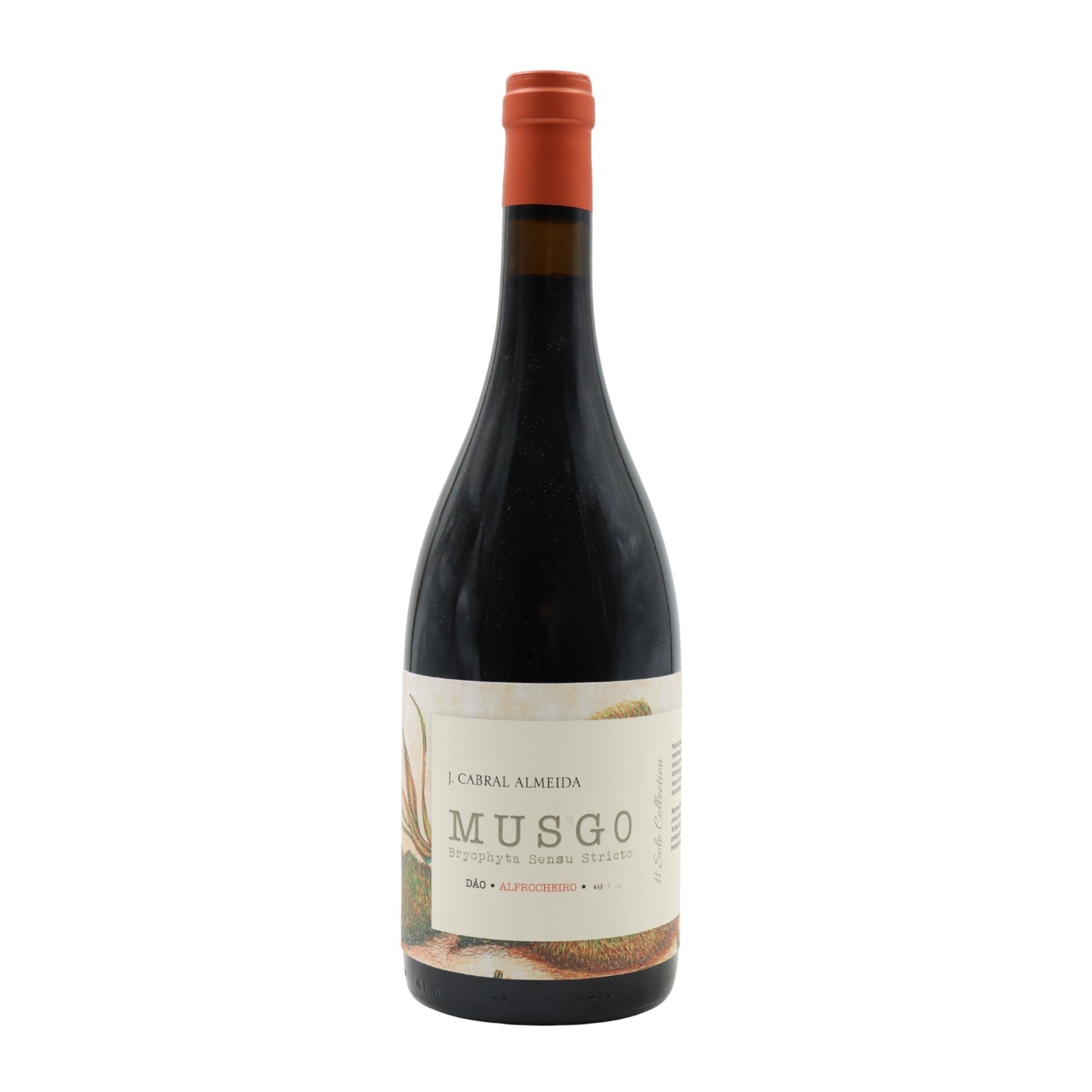 Musgo Alfrocheiro Rot 2020