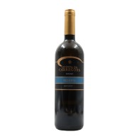 Quinta da Carregosa Reserve White 2023