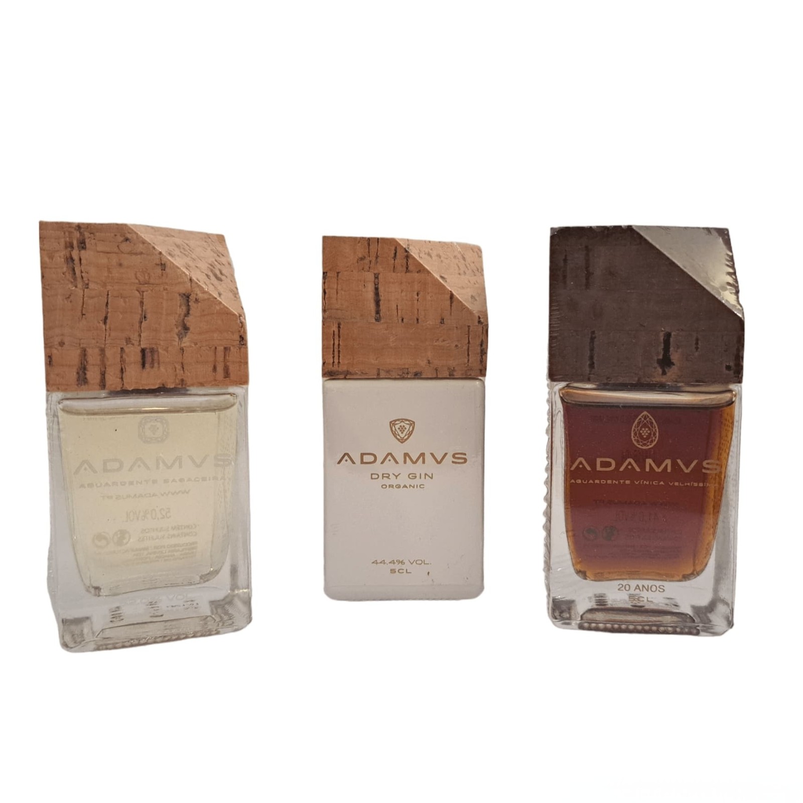 Adamus Experience Box