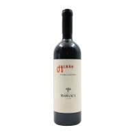 Familia Margaça Talhão 01 Touriga Nacional Rot 2022