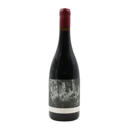 Anunciada Velha Red 2021