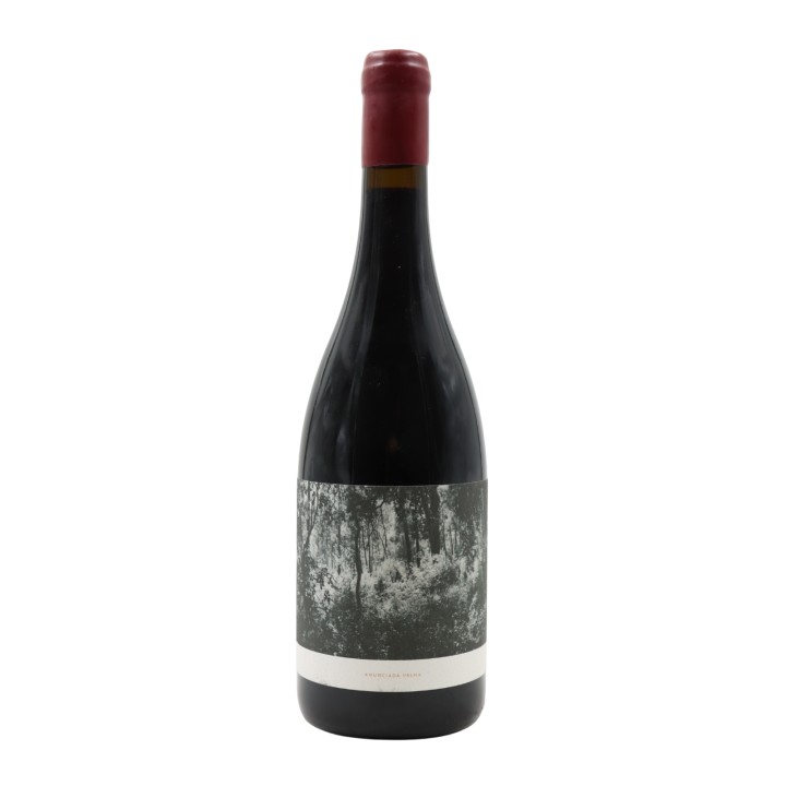 Anunciada Velha Rosso 2021