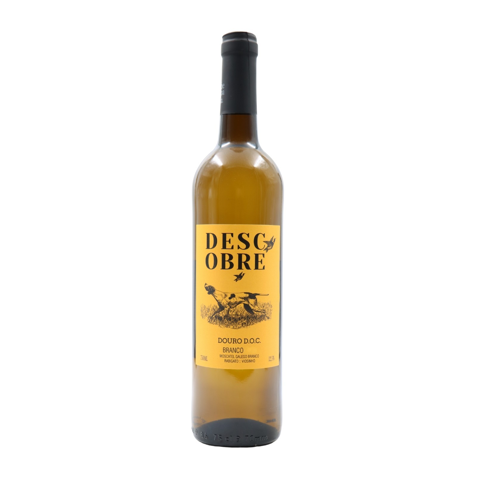 Descobre Bianco 2024