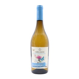 Adega Mãe Organic and Regenerative White 2023
