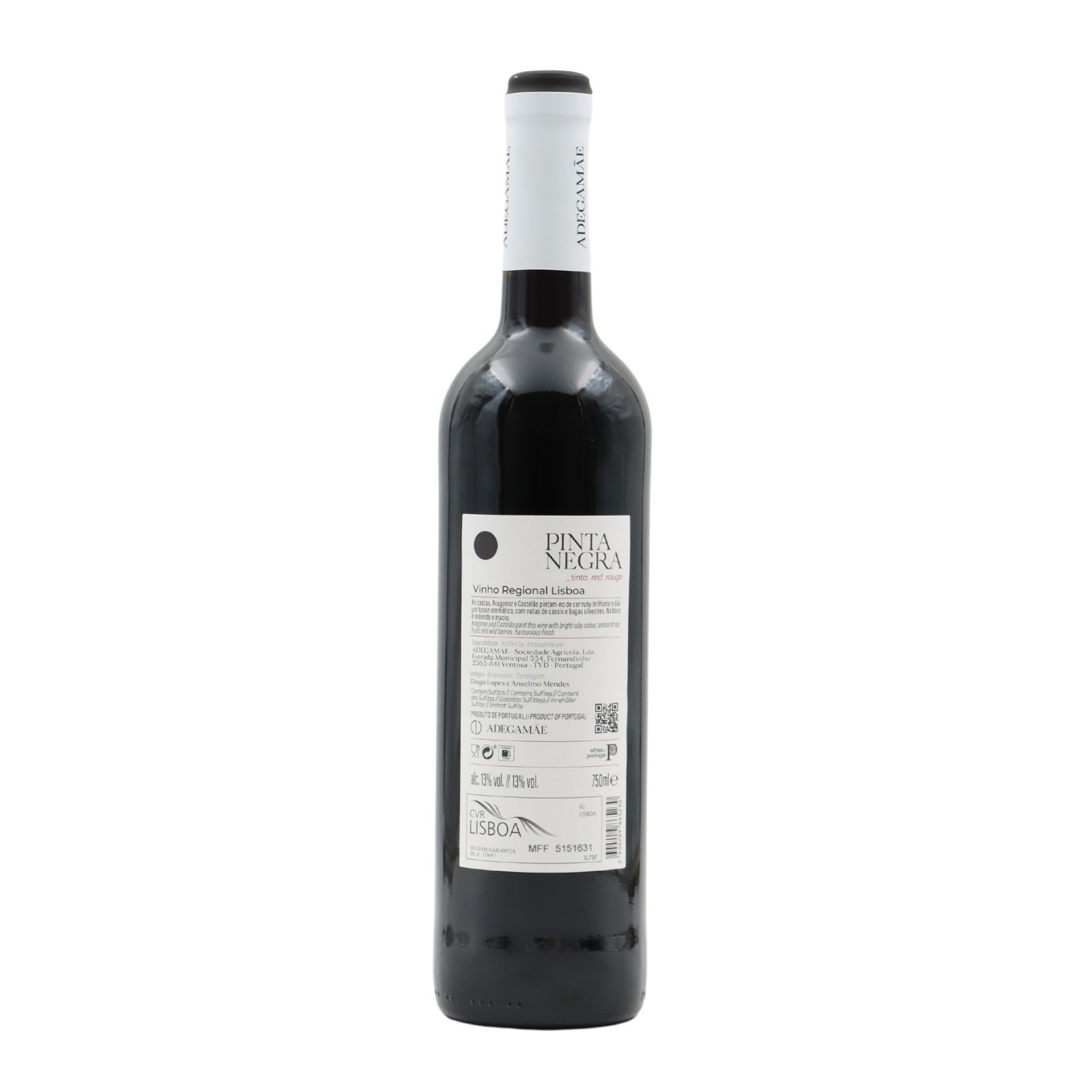 Pinta Negra Red 2024