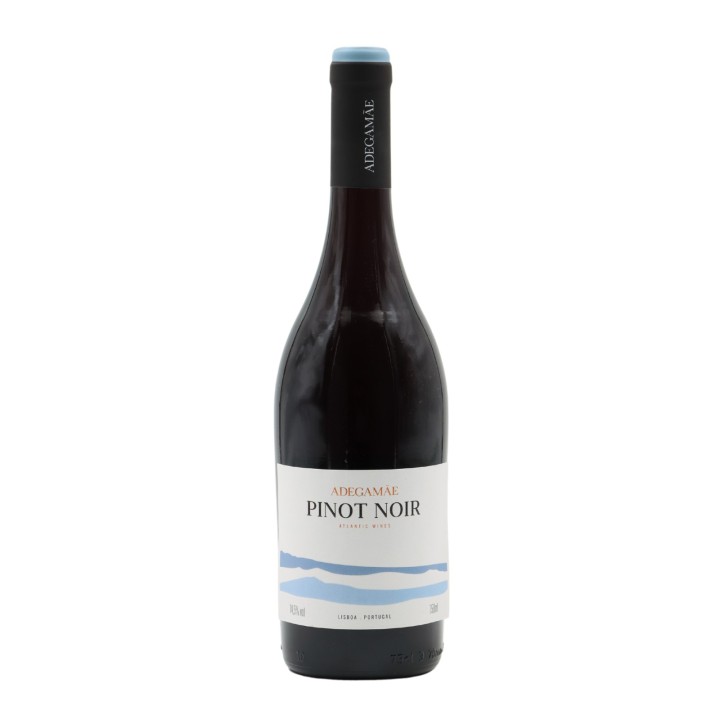 Adega Mãe Pinot Noir Rosso 2020