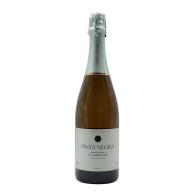 Pinta Negra Blanc de Noirs Brut Sparkling 2024