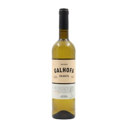 Galhofa White 2024