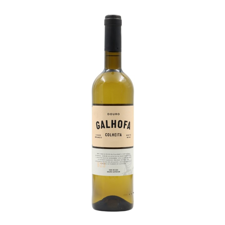 Galhofa Branco 2024