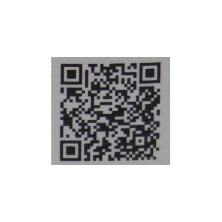 O%riginal Alcohol Free Rot 2024
