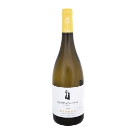 Quinta de Sant´Ana White 2024
