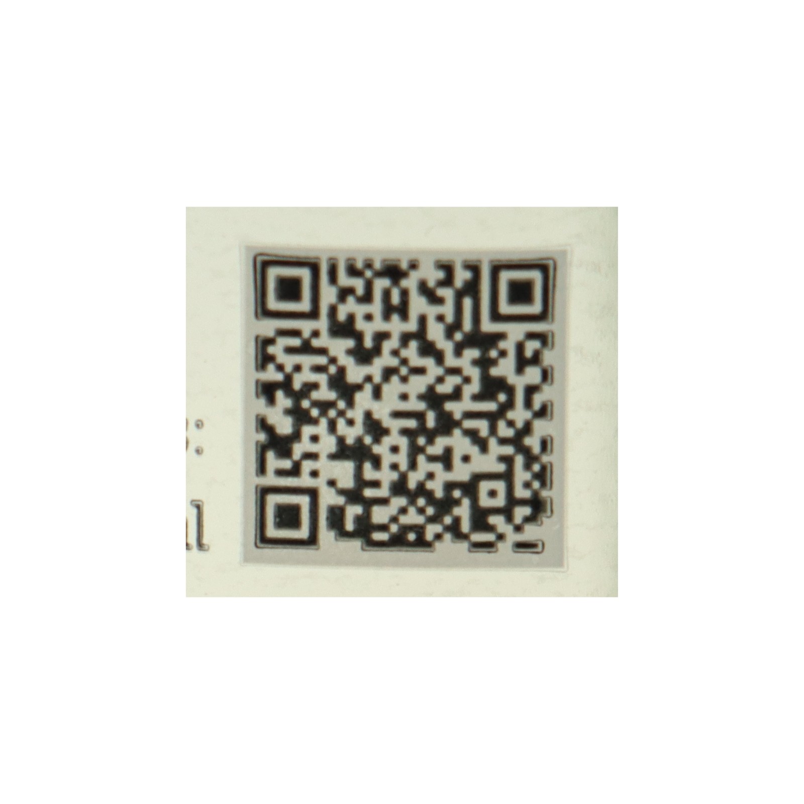 Urbe Augusta Loureiro White