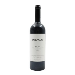 Pintas Rot 2023